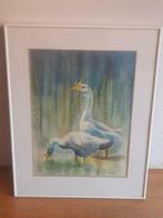 Aquarel 2 ganzen Wim Altena 1989 knobbelganzen, Ophalen