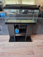 Aquarium 80cm met onderkast, Ophalen, Gebruikt, Leeg aquarium