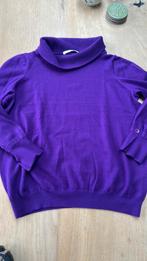 Xandres trui 100% wol XL paars winter, Ophalen of Verzenden, Zo goed als nieuw, Maat 46/48 (XL) of groter