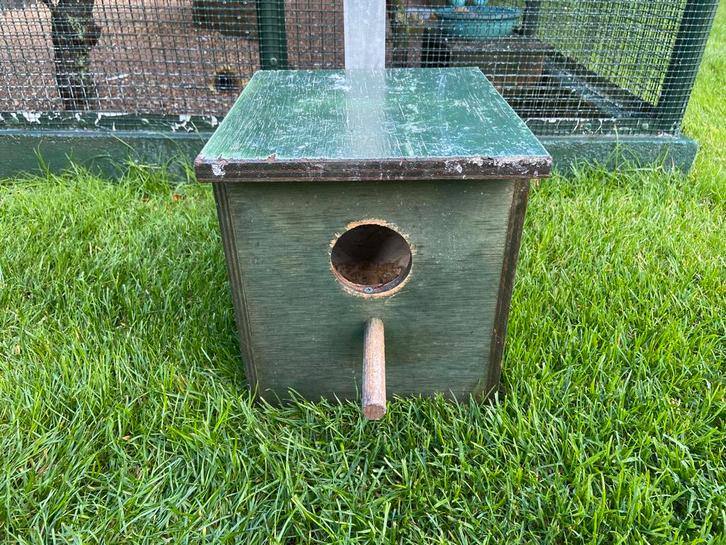 Nestkastje voor Parkieten, Dieren en Toebehoren, Vogels | Hokken en Kooien, Gebruikt, Overige typen, Hout, Ophalen of Verzenden