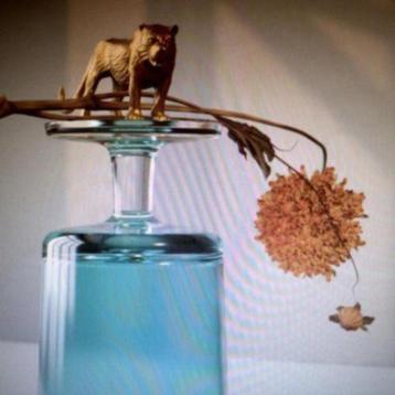 CD: Beirut - Gallipoli (ZGAN) Gatefold Sleeve beschikbaar voor biedingen