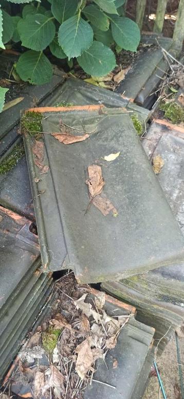 +/- 225 zwarte dakpannen beschikbaar voor biedingen