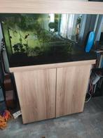 Juwel aquarium 125 liter plus kast, Ophalen, Gebruikt, Leeg aquarium