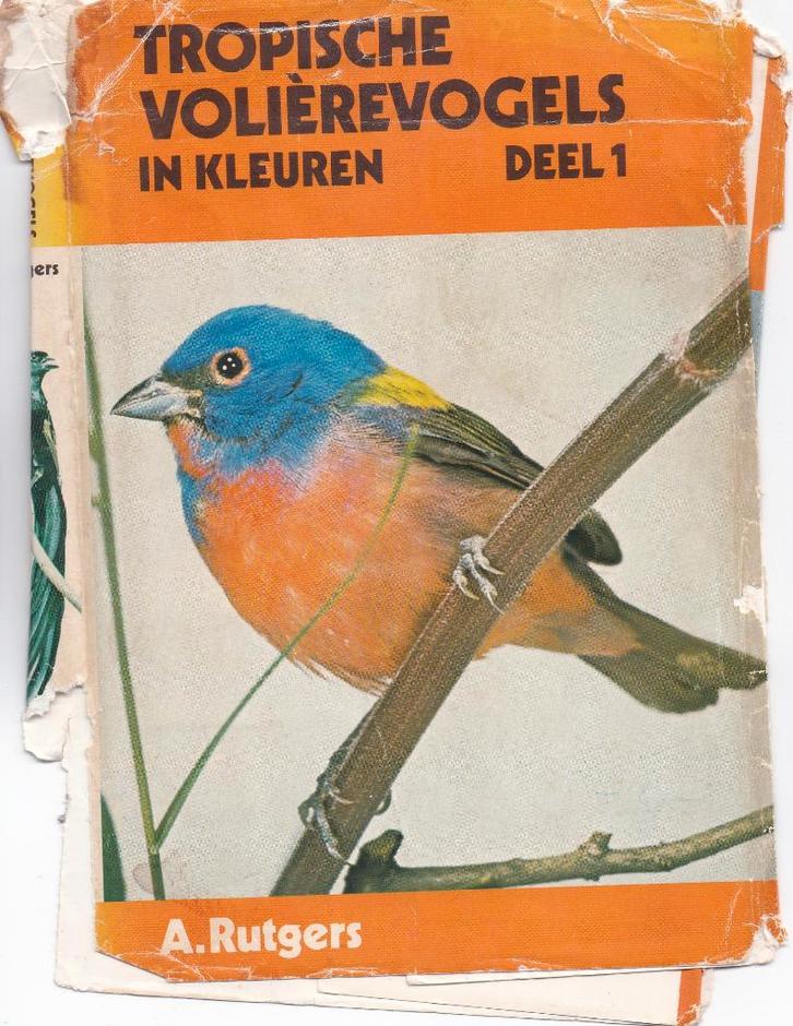 Tropische volierevogels in kleur, deel 1, Boeken, Hobby en Vrije tijd, Gelezen, Overige onderwerpen, Ophalen of Verzenden