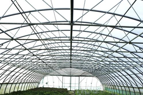 tunnelkas, Tuin en Terras, Kassen, Gebruikt, Kweekkas, Staal, Overige materialen, Ophalen