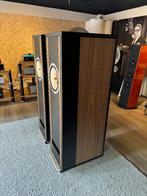 Lyritech Magic 10 - buizen - hoog rendement, Overige merken, Lyritech, Ophalen of Verzenden, Zo goed als nieuw