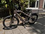 Cowboy cross, 400 km totaal gereden, 55 tot 59 cm, Ophalen, Zo goed als nieuw, 50 km per accu of meer