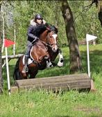 Begeleiding/trainingsstal, Diensten en Vakmensen, Stalling of Weidegang