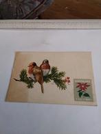 VOGELS. OP KERSTTAK.  1950, Verzamelen, Ansichtkaarten | Themakaarten, Ophalen of Verzenden, 1940 tot 1960