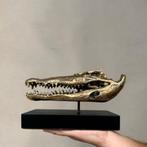 Krokodil schedel op standaard messing beeld skull, Ophalen of Verzenden, Nieuw