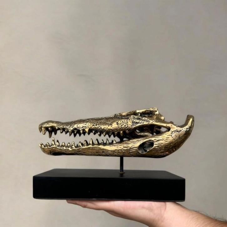 Krokodil schedel op standaard messing beeld skull, Verzamelen, Beelden en Beeldjes, Nieuw, Ophalen of Verzenden
