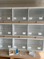 Broed kooi, Dieren en Toebehoren, Ophalen of Verzenden, Nieuw, Hout, Broedkooi of Kweekkooi