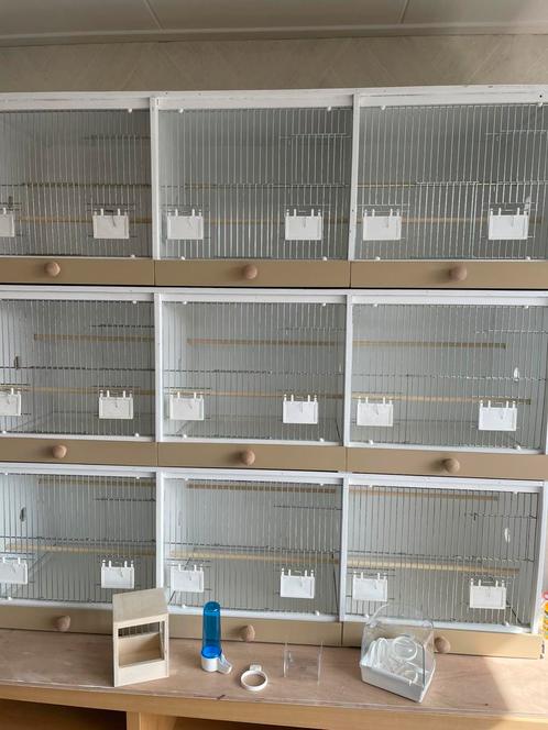 Broed kooi, Dieren en Toebehoren, Vogels | Hokken en Kooien, Nieuw, Broedkooi of Kweekkooi, Hout, Ophalen of Verzenden