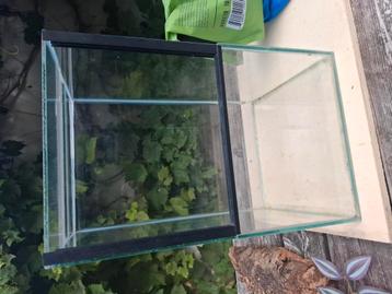 Terrarium 25cm x 25cm x 40 cm plus toebehoren beschikbaar voor biedingen