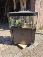 Hoekaquarium met onderkast, Ophalen, Gebruikt, Leeg aquarium