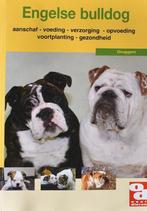 Engelse bulldog: aanschaf, voeding, verzorging enz., Honden, Ophalen of Verzenden, Zo goed als nieuw