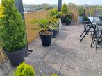 Schutting bamboe riet Wilgenmat planken palen Wilgentenen, Tuin en Terras, Schuttingen, Overige materialen, Gerard Krale, Nieuw