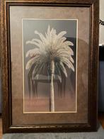 Bronshouten Frame, Ophalen, Zo goed als nieuw, 75 tot 100 cm, 75 cm of meer