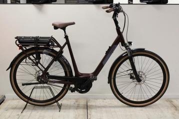 Pegasus E7F Belt Dames Donker Rood 60cm 2024 beschikbaar voor biedingen