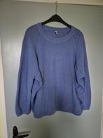 Mooie paarse trui Hema, Hema, Ophalen of Verzenden, Zo goed als nieuw, Maat 42/44 (L)