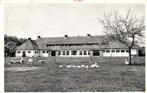 Int. Jeugdcentrum De Harscamp, Harskamp - gans schaap - 1957, Ophalen of Verzenden, 1940 tot 1960, Gelopen, Gelderland