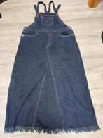 Nieuwe Tuin Spijkerrok Maat 46, Ophalen of Verzenden, Zo goed als nieuw, Blauw, Rok