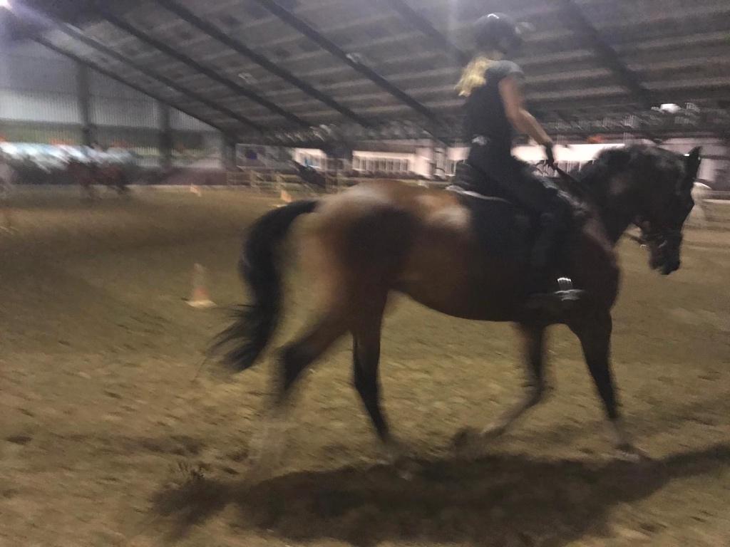 Verzorgster/Bijrijder aangeboden; Buitenritmaatje gezocht, Dieren en Toebehoren, Paarden en Pony's | Overige Paardenspullen, Ophalen