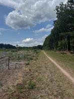 Te koop Perceel natuurgrond van 42.520 m²  Schaijk, Zakelijke goederen, Ophalen, 1 tot 5 ha, Overige bestemmingen