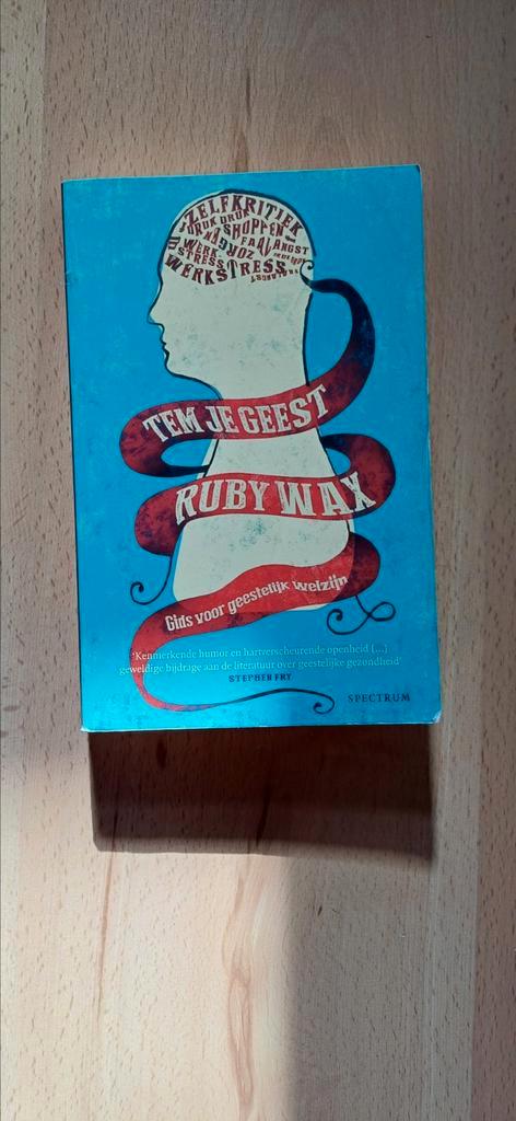 Ruby Wax - Tem je geest, Boeken, Psychologie, Zo goed als nieuw, Ophalen of Verzenden