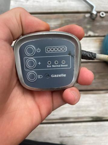 Gazelle display beschikbaar voor biedingen