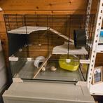 Hamsterkooi, Dieren en Toebehoren, Kooi, Minder dan 75 cm, Zo goed als nieuw, Hamster