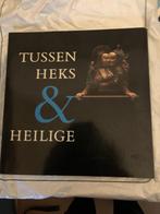 Boek:Tussen heks &Heilige, Vrouwbeeld 17 e eeuw, Ophalen of Verzenden, Gelezen, Overige onderwerpen