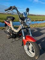 Tomos younster + geldig blauw kenteken, Fietsen en Brommers, Brommers | Tomos, Ophalen, Zo goed als nieuw, Overige modellen
