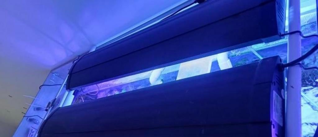 Oddysea Zeeaquarium Lamp T5, Ophalen, Gebruikt, Overige modellen, Minder dan 10 lampen