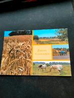 Zeeuws Vlaanderen (Zeeland), Verzamelen, Ophalen of Verzenden, Zeeland