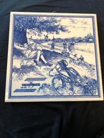 Vredestein Tegel - Fietsen en Landschap, Ophalen of Verzenden