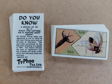 Do You Know complete set 24 tea cards Ty-Phoo Tea 1962 beschikbaar voor biedingen