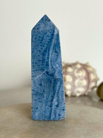 Versteend koraal toren beschikbaar voor biedingen