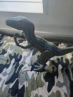 Raptor Blue (Groot) Figuur, Kinderen en Baby's, Speelgoed | Actiefiguren, Ophalen of Verzenden, Zo goed als nieuw