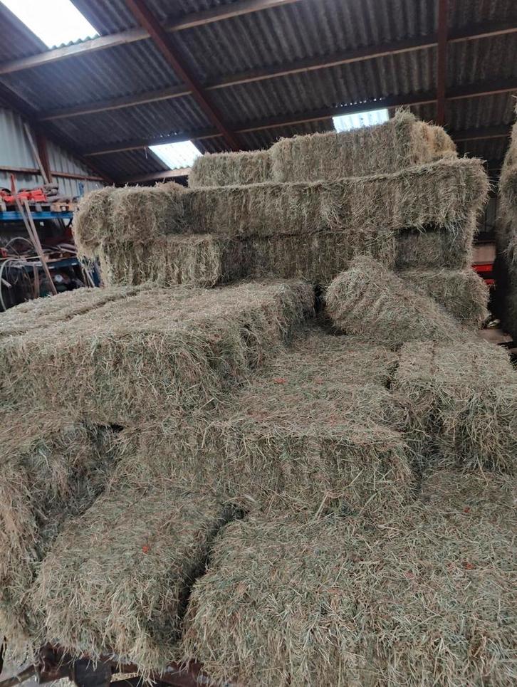 Kleine pakjes/baaltjes hooi paarden hooi, Dieren en Toebehoren, Dierenvoeding, Vee, Ophalen