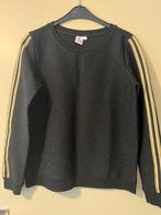 Glitter trui l, Kleding | Dames, Ophalen of Verzenden, Nieuw, Maat 42/44 (L), Zwart