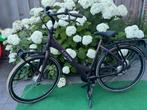 Cortina common Family Damesfiets, Fietsen en Brommers, Fietsen | Dames | Damesfietsen, Overige merken, (Extra) lage instap, Zo goed als nieuw