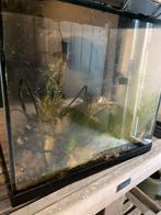 Aquafish 50 liter aquarium incl toebehoren, Gebruikt, Ophalen, Leeg aquarium