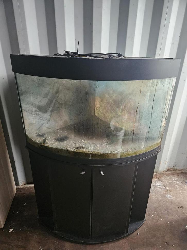 Ferplast Dubai 180 liter hoek aquarium te koop, Dieren en Toebehoren, Vissen | Aquaria en Toebehoren, Zo goed als nieuw, Leeg aquarium