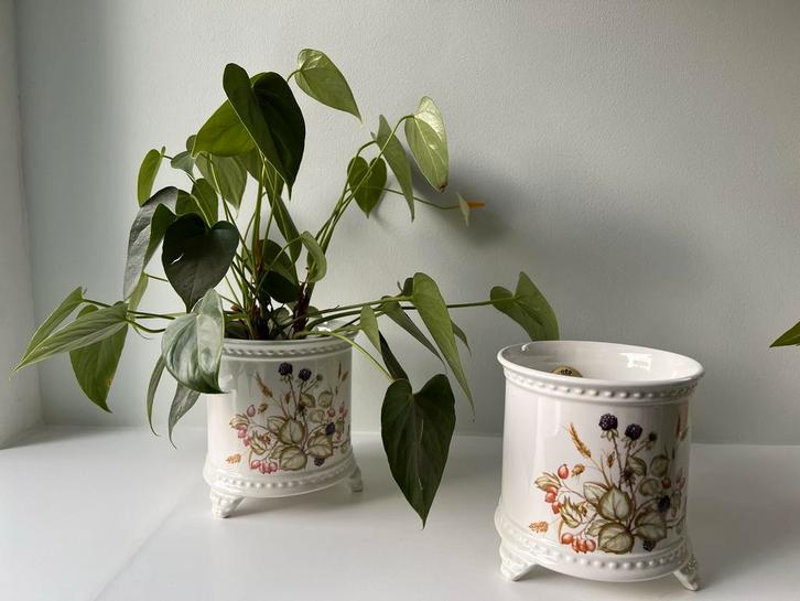 2 cachepots vintage Ceramic Royal Winton overpot voor plant, Huis en Inrichting, Woonaccessoires | Overige, Gebruikt, Ophalen of Verzenden