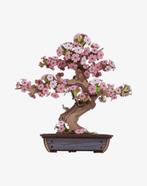 bonsai puzzel, Bloeit niet, Halfschaduw, Minder dan 100 cm, Overige soorten