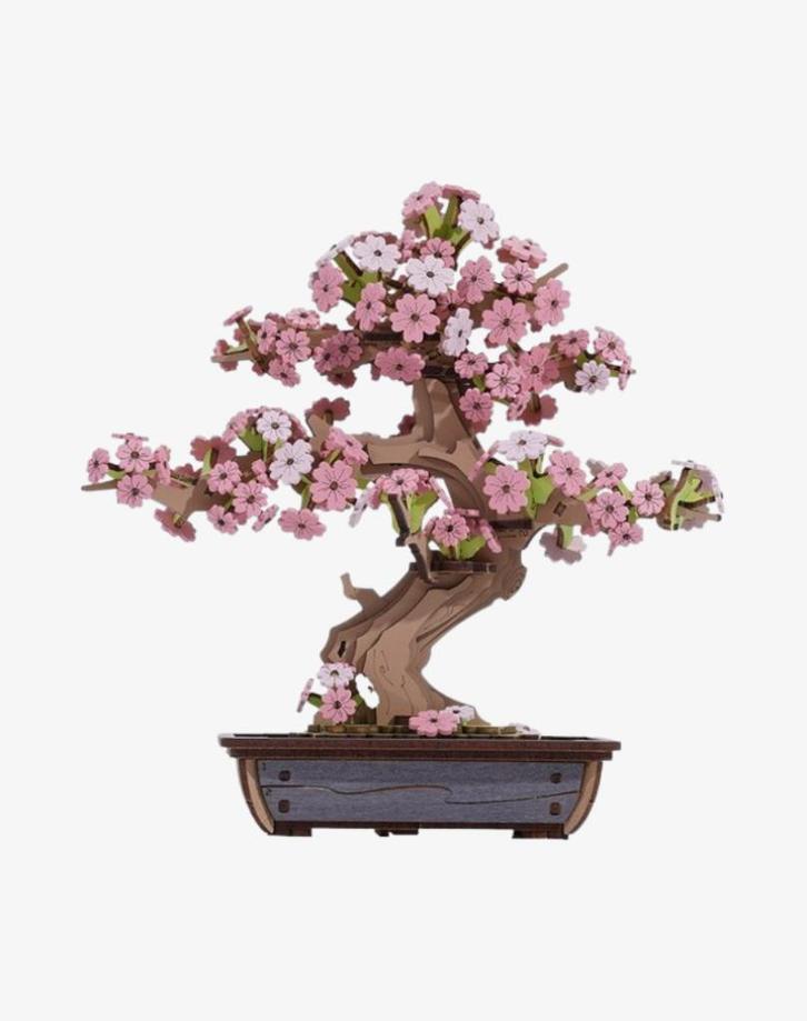 bonsai puzzel, Tuin en Terras, Planten | Bomen, Overige soorten, Minder dan 100 cm, Halfschaduw, Bloeit niet, Ophalen of Verzenden