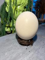 Pasen Struisvogel ei 14,5 cm in bruin mandje - decoratief, Gebruikt, Ophalen of Verzenden, X, X