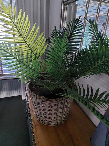 Kunstpalm inclusief rieten mand inclusief verlichting  beschikbaar voor biedingen