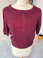 Banned Apparel Korte Top Bordeaux Maat L, Ophalen of Verzenden, Zo goed als nieuw, Maat 42/44 (L), Rood